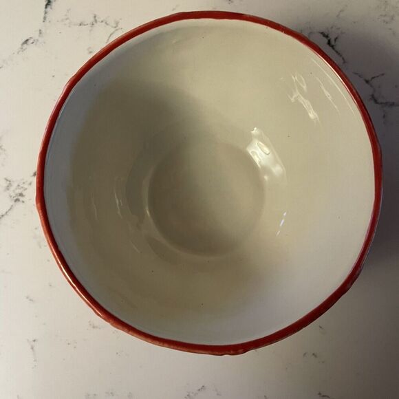 Bloom Rite Soup / Cereal Bowl Retro Vintage Groovy Flower Power Big Red Daisy - Picture 5 of 10